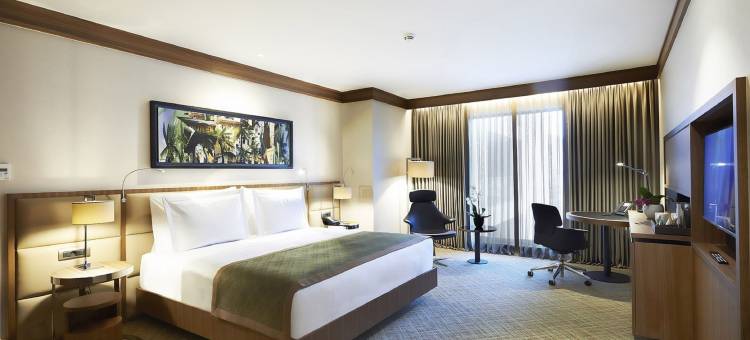 阿达那迪万酒店(Divan Adana)图片