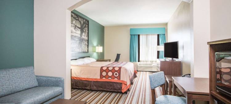 阿瑟港-尼德兰地区速8酒店(Super 8 by Wyndham Port Arthur/Nederland Area)图片