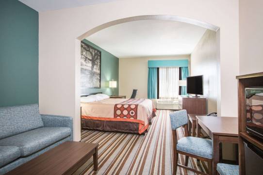 阿瑟港-尼德兰地区速8酒店(Super 8 by Wyndham Port Arthur/Nederland Area)