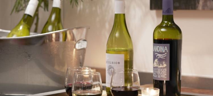 纽约谢尔本索内斯塔酒店(The Shelburne Sonesta New York)图片