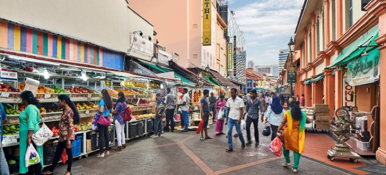 Holiday Inn Express 新加坡实龙岗智选假日酒店(Holiday Inn Express SINGAPORE SERANGOON by IHG)图片