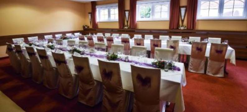 瑞萨维酒店(Hotel Rysavy)图片