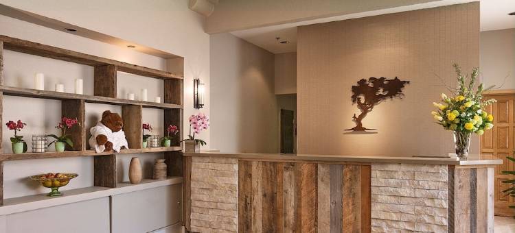 半月湾旅舍(Half Moon Bay Lodge)图片