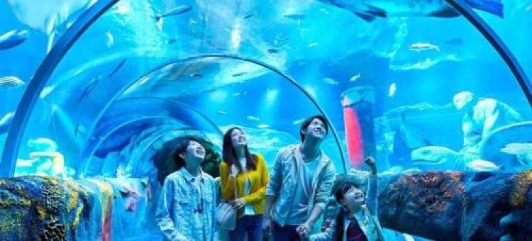 Disneyland Paris New Studio Suite Design图片