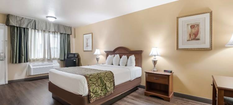 贝斯特韦斯特芬利酒店(SureStay Hotel by Best Western Fernley)图片