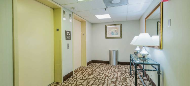 欢朋酒店-坦帕国际机场/西岸(Hampton Inn Tampa-Airport/Westshore)图片