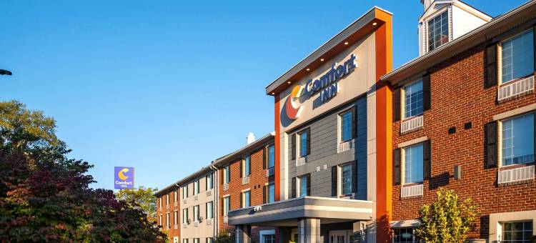 舒适酒店(Comfort Inn)图片