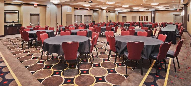 智选假日套房酒店在普雷斯顿北达拉斯(Holiday Inn Express & Suites North Dallas at Preston)图片