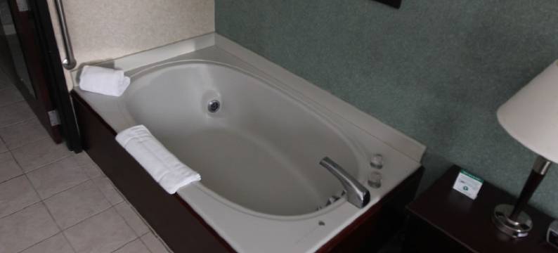 罗切斯特希尔斯戴斯套房酒店(Days Inn & Suites by Wyndham Rochester Hills MI)图片