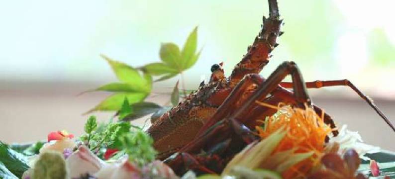 天草・松岛温泉  龙宫酒店(Hotel Ryugu)图片