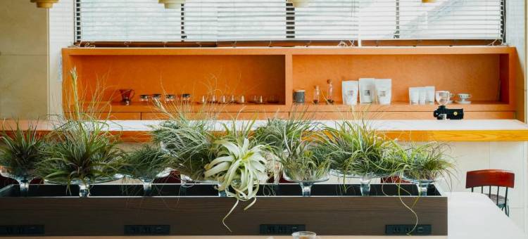 汤宿云仙新汤(Yuyado Unzen Shinyu)图片