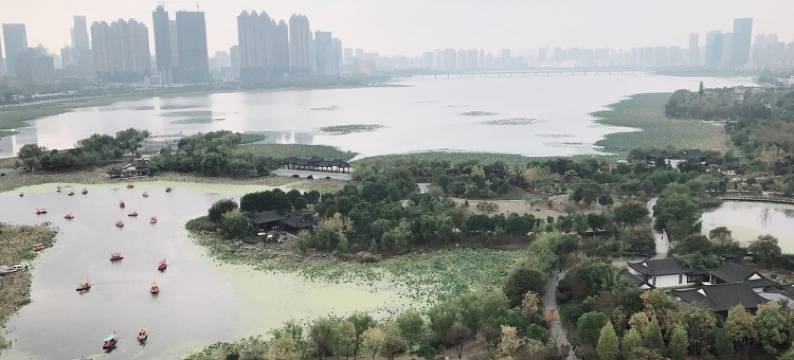 乐雅公寓(秦园东路分店)图片