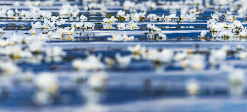 泸沽湖逸水云缦酒店图片