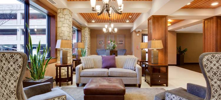 圣安东尼奥机场德鲁里广场酒店(Drury Plaza Hotel San Antonio Airport)图片
