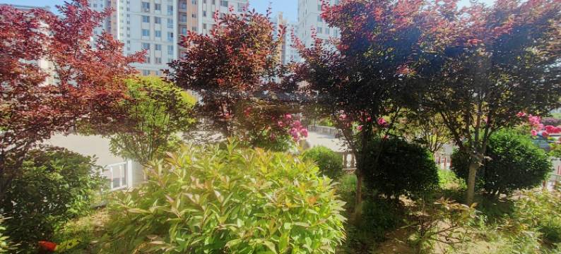 撸猫撸铁的房东大叔公寓(华兴南街分店)图片