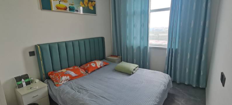 日租房公寓(海河东路分店)图片