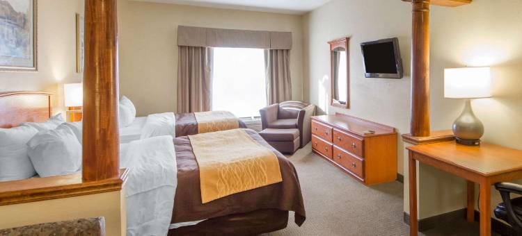 美国中区工业园区凯艺套房酒店(Quality Inn & Suites MidAmerica Industrial Park Area)图片