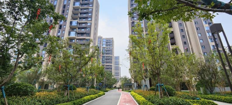 甜小姐的民宿(只有河南戏剧幻城)图片