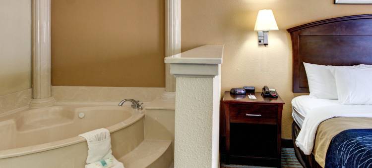 科尔加纳东舒适酒店(Comfort Inn Corsicana East)图片