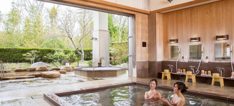 有马温泉兵卫向阳阁(Arima Onsen Hyoe Koyokaku Kobe)图片