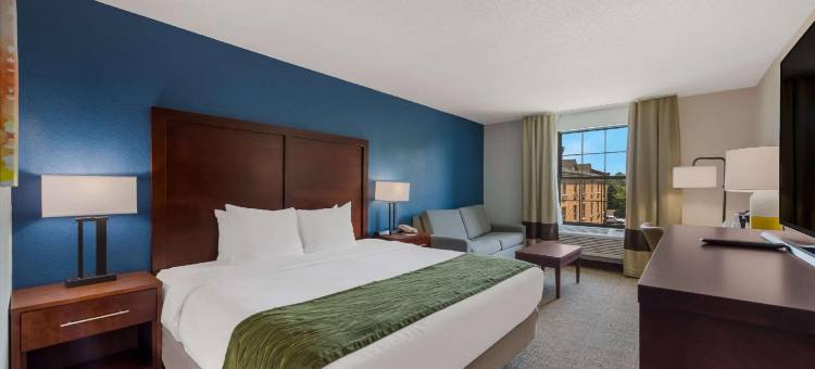 纽波特纽斯-汉普顿I-64舒适酒店(Comfort Inn Newport News - Hampton I-64)图片