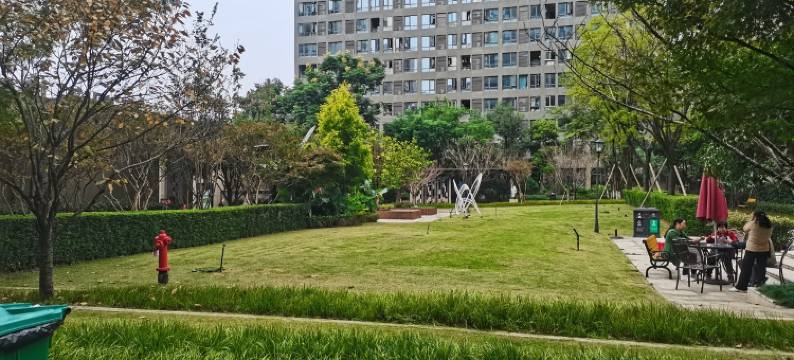 缘来是你青涩柠檬公寓(宏志路分店)图片