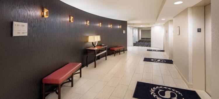 奥兰多北喜来登酒店(Sheraton Orlando North Hotel)图片