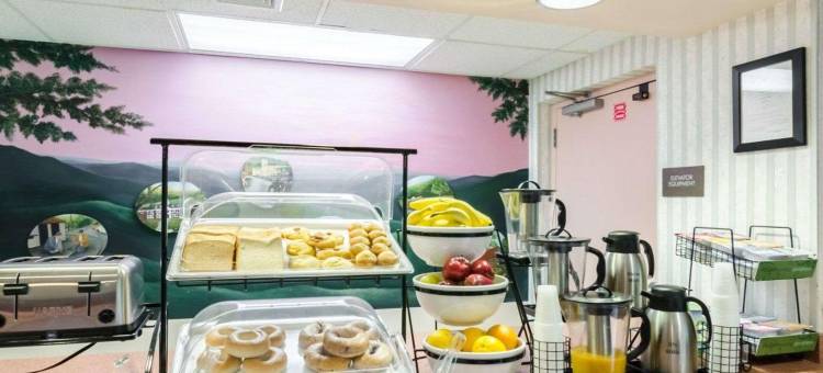 格伦迪舒适酒店及套房(Comfort Inn & Suites)图片