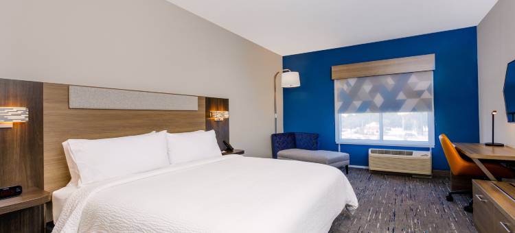 坦帕机场区体育场智选假日酒店及套房(Holiday Inn Express & Suites Tampa Stadium - Airport Area)图片