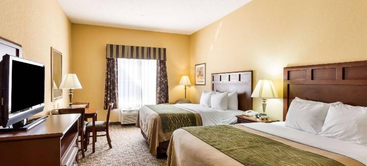 舒适套房酒店(Comfort Inn & Suites)图片