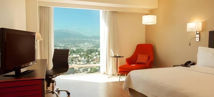 佩里费里克南费斯塔酒店 (Fiesta Inn Periferico Sur)图片