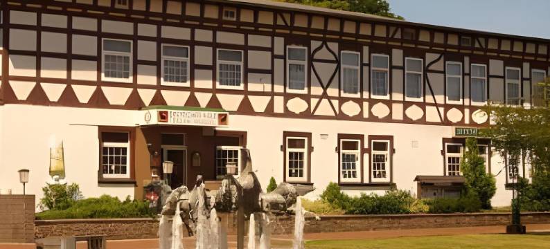 蒙斯特德意志汉斯酒店(Deutsches Haus Munster)图片