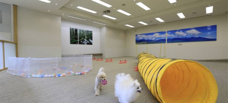 Yutorelo蓼科酒店 with爱犬(Yutorelo Tateshina Hotel with Dogs)图片