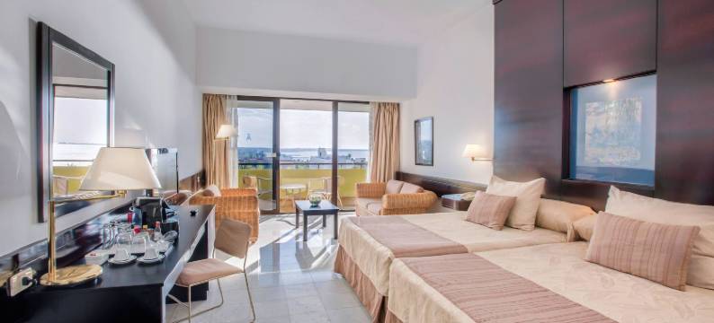 哈瓦那美利亚酒店(Melia Habana)图片