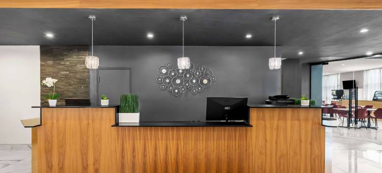 东蒙特利尔贝斯特韦斯特优质酒店(Best Western Plus Montreal East)图片