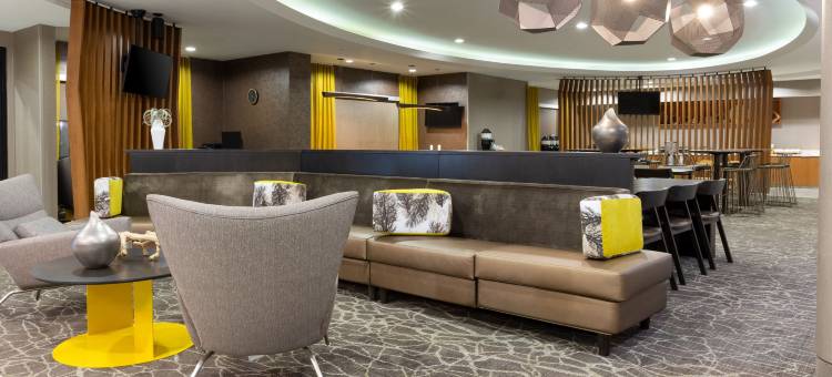 萨克拉门托罗斯维尔万豪SpringHill Suites 酒店(SpringHill Suites Sacramento Roseville)图片