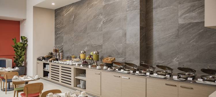 阿瓜斯卡连特斯假日酒店及套房(Holiday Inn & Suites Aguascalientes)图片