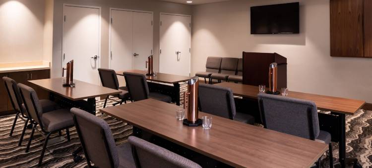 圣乔治Staybridge Suites(Staybridge Suites ST George)图片