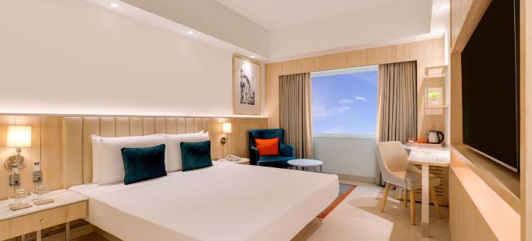 德里机场柠檬树酒店(Lemon Tree Premier, Delhi Airport)图片