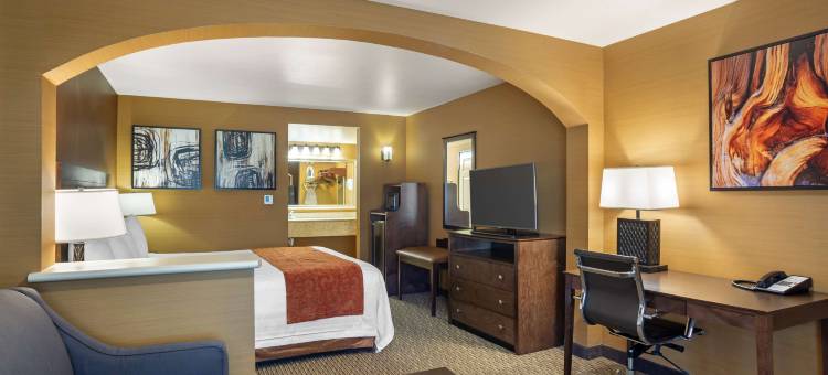 埃克塞特贝斯特韦斯特套房酒店(Best Western Exeter Inn  Suites)图片