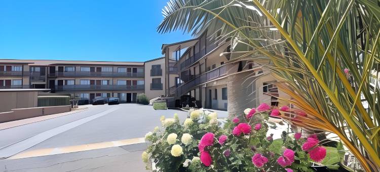 棕榈套房旅店(Palms Inn & Suites)图片