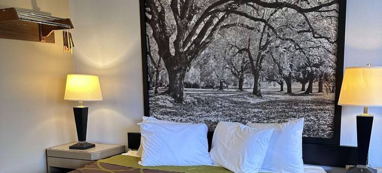 温德姆华东速 8 酒店(Super 8 by Wyndham Vancouver East)图片