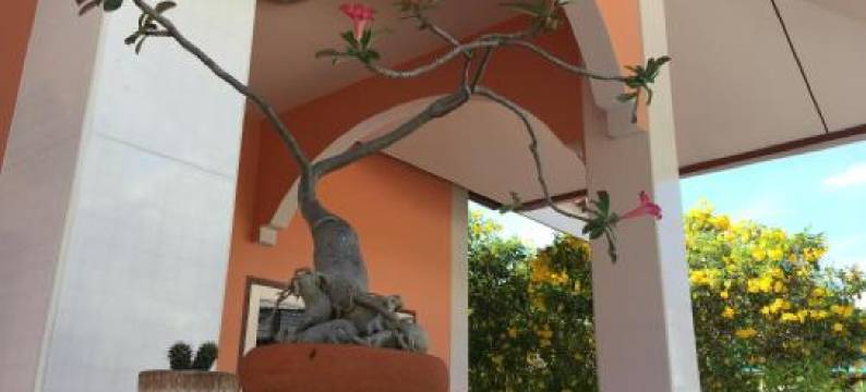 华欣巴恩坎尼卡度假屋(Baan Kannika Hua Hin)图片