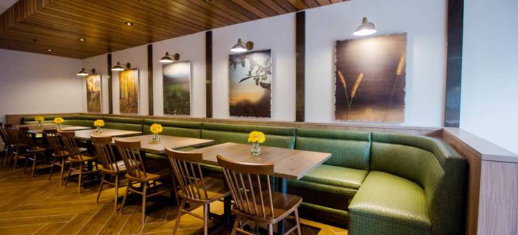 费城布鲁莫尔-新镇广场万枫套房酒店(Fairfield Inn & Suites Philadelphia Broomall/Newtown Square)图片