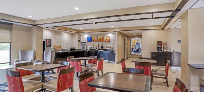 欧佩莱卡-奥本舒适酒店(Comfort Inn Opelika - Auburn)图片