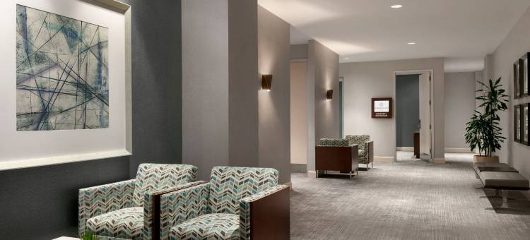 罗利喜来登酒店(Sheraton Raleigh Hotel)图片