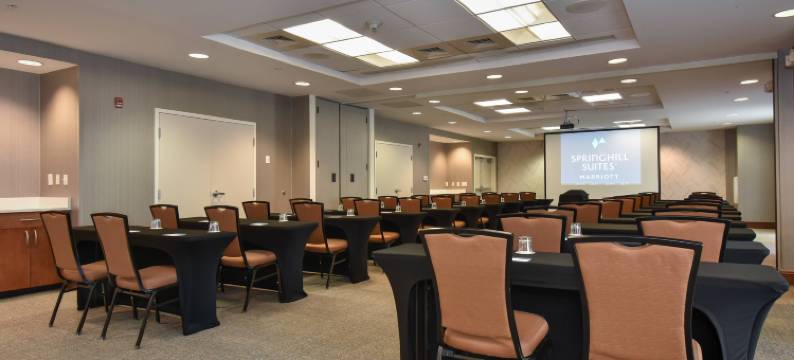 哥伦比亚市中心／维斯塔商业区万豪SpringHill酒店(SpringHill Suites Columbia Downtown/The Vista)图片
