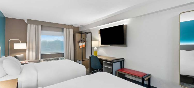 舒适酒店及套房(Comfort Inn & Suites)图片