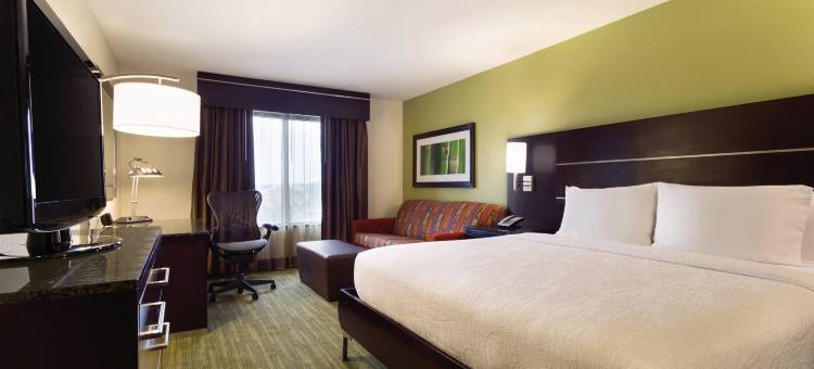 休斯顿西北希尔顿花园酒店(Hilton Garden Inn Houston NW/Willowbrook)图片