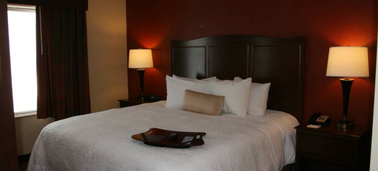 秘鲁希尔顿欢朋旅馆&套房酒店(Hampton Inn & Suites Peru)图片